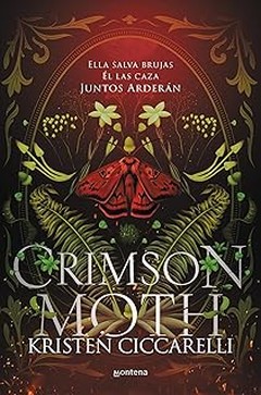 Descubre los mejores libros de fantasía romántica para jóvenes