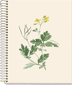 Comparativa de los mejores cuadernos lisos para estudiantes