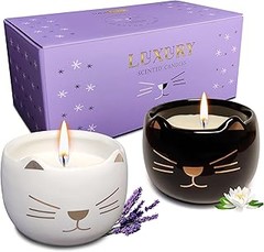 Precios y Mejores Tiendas para Comprar Velas Literarias