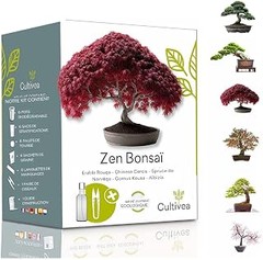 Kits de regalo para lectores