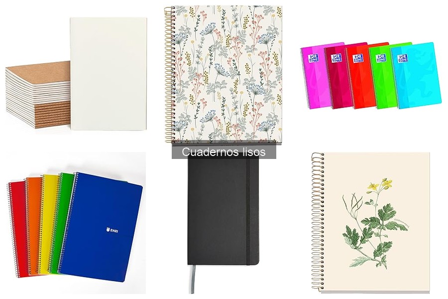 Alternativas a cuadernos lisos para tomar notas