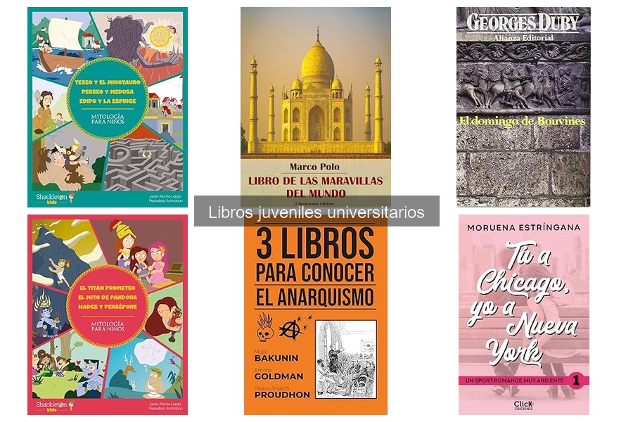 Alternativas asequibles a libros universitarios costosos