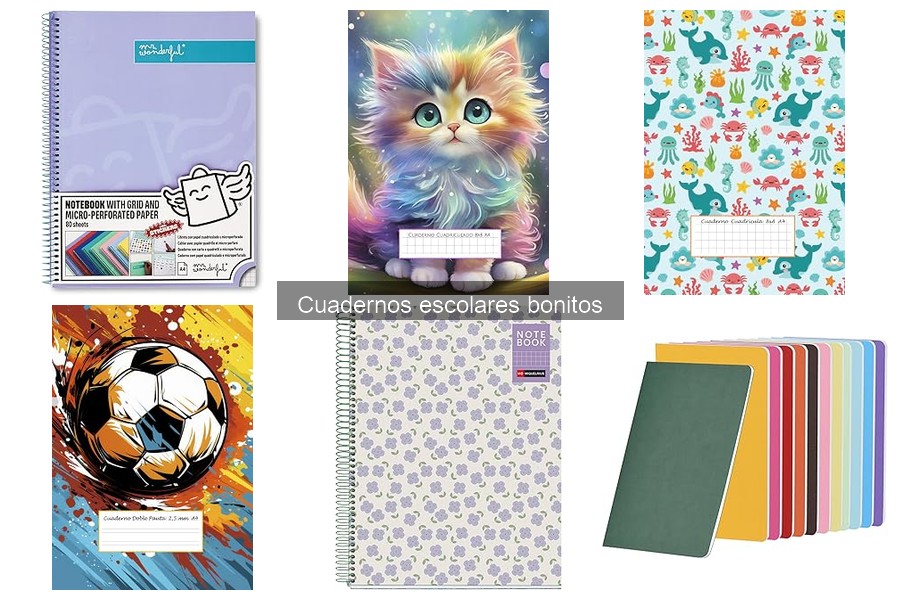 Cómo elegir el cuaderno escolar bonito ideal para tu hijo