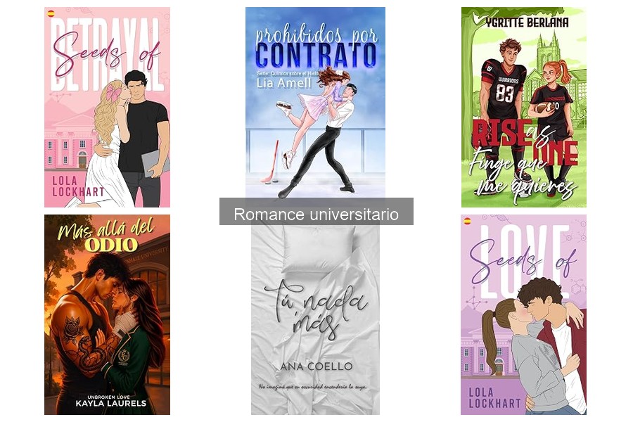 Cómo elegir el mejor libro de romance universitario para regalar
