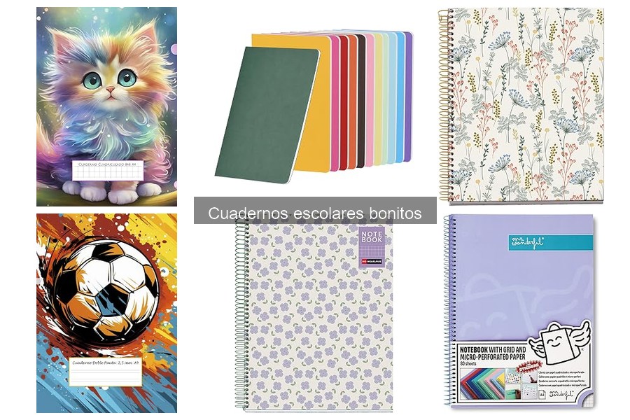 Cuadernos escolares bonitos para estudiantes con dislexia