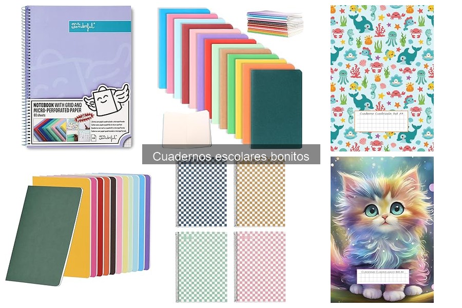 Cuadernos escolares bonitos para uso diario en el colegio