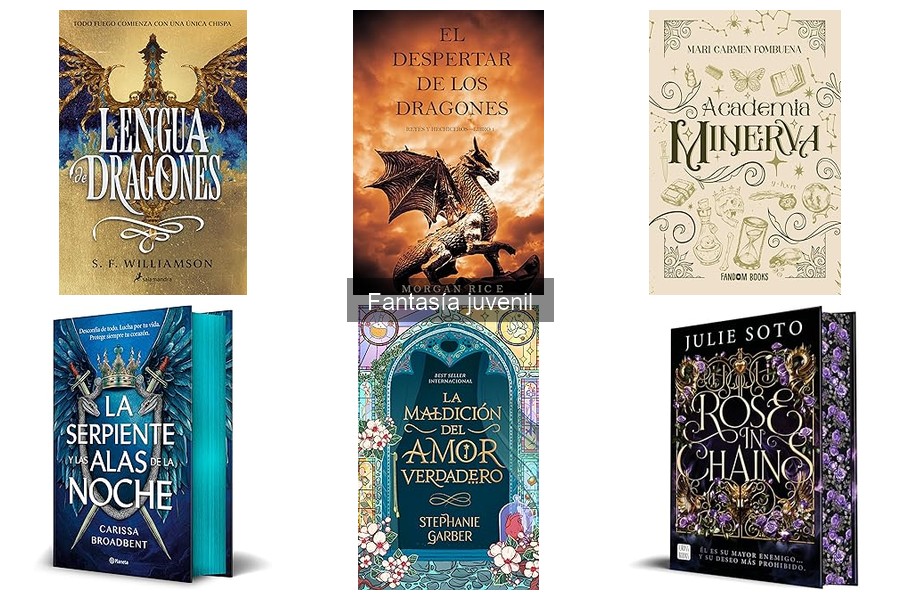 ¿Cuánto cuesta un libro de fantasía juvenil? Precios y formatos