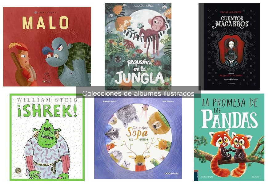 Descubre los formatos de álbumes ilustrados disponibles