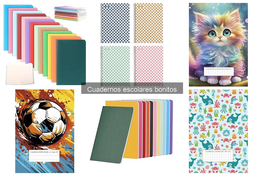 Diferentes tipos de cuadernos escolares bonitos