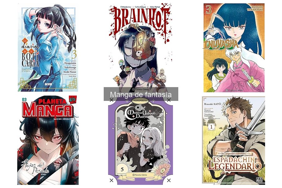 Dónde comprar mangas de fantasía en línea: las mejores opciones