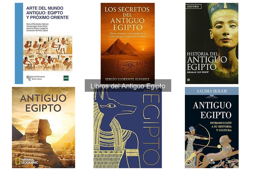 Libros académicos sobre el Antiguo Egipto: análisis profundo