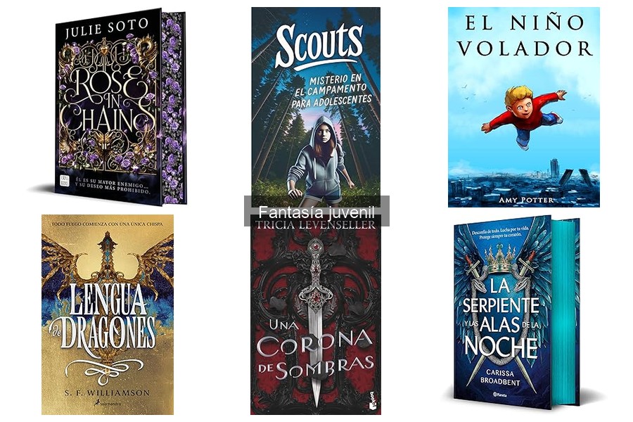Libros de fantasía juvenil para fans de Harry Potter