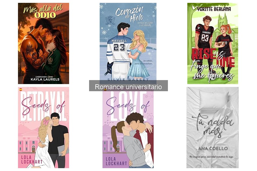 Libros de romance universitario que abordan temas sociales