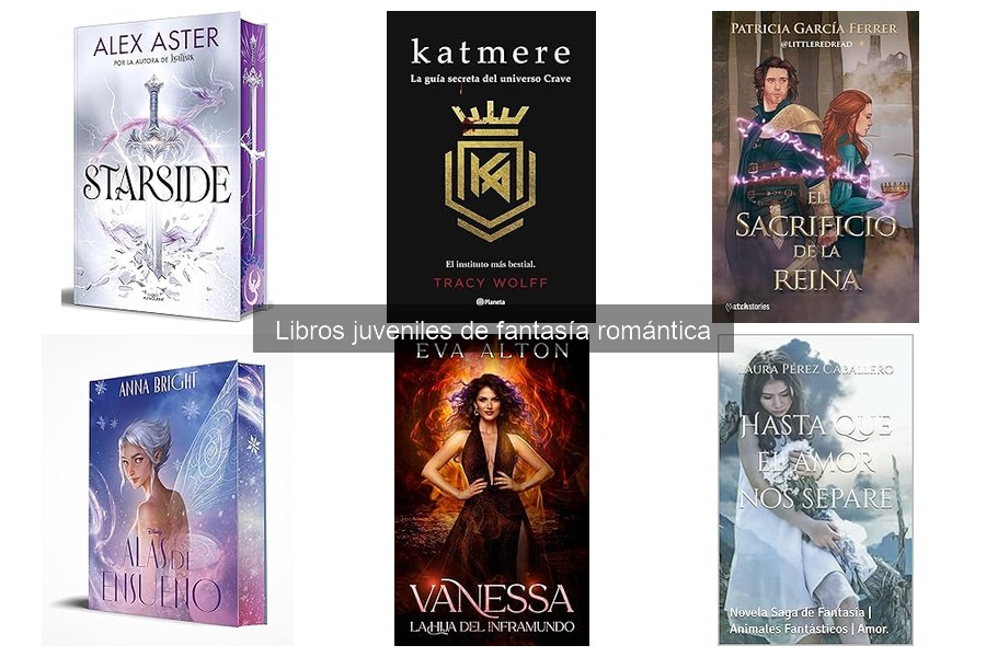 Libros juveniles de fantasía romántica y problemas sociales