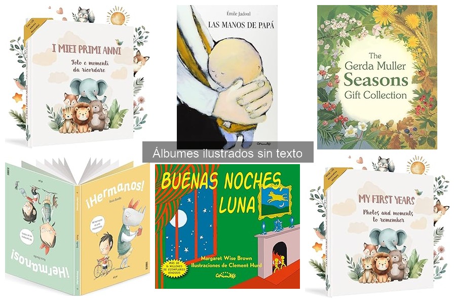 Mejores álbumes ilustrados sin texto para niños pequeños