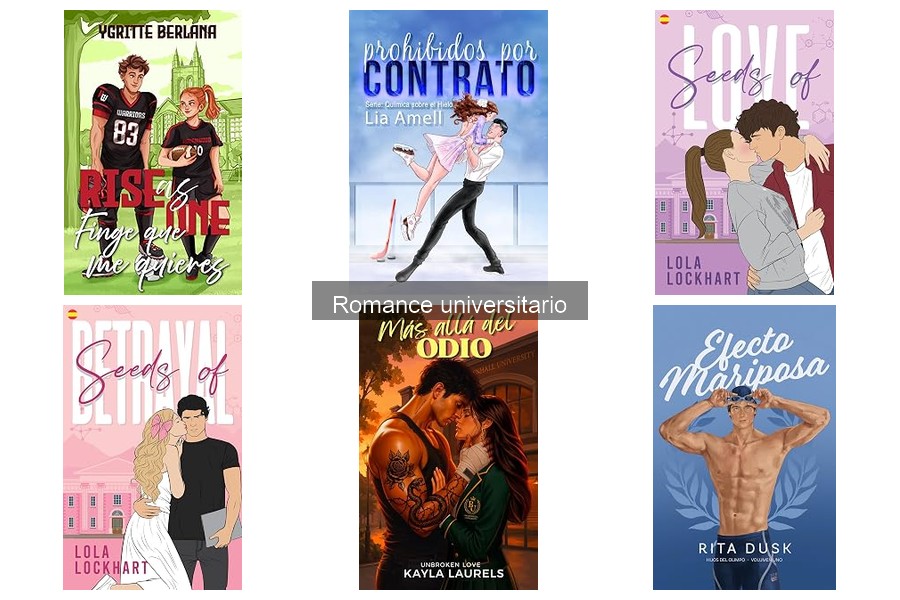 Mejores libros de romance universitario para adolescentes