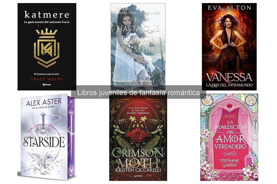 Opiniones sobre libros juveniles de fantasía romántica recientes