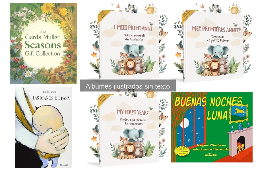 Opiniones sobre los mejores álbumes ilustrados sin texto