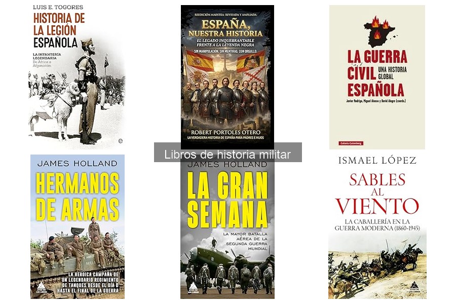 ** Problemas comunes al leer libros de historia militar