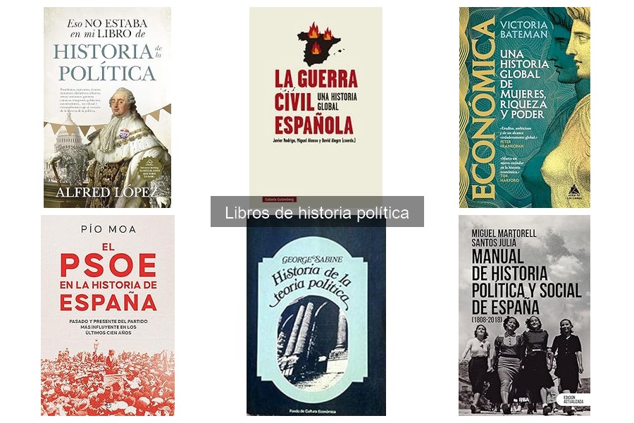 Problemas Comunes al Leer Libros de Historia Política