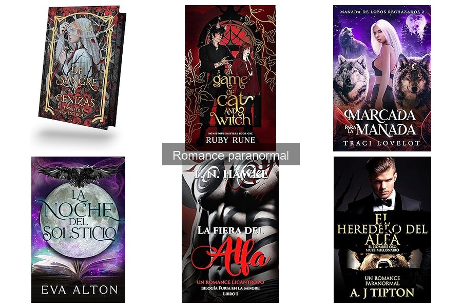 Problemas comunes al leer novelas de romance paranormal