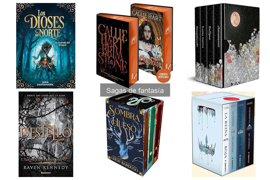 Problemas comunes al leer sagas de fantasía largas