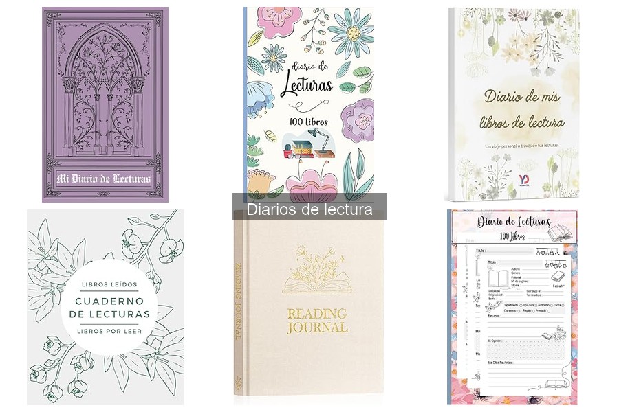 Problemas Comunes al Usar un Diario de Lectura