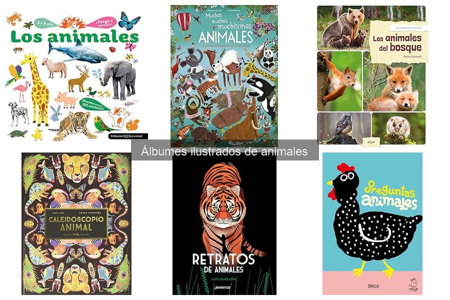 ¿Qué es un álbum ilustrado de animales? Características únicas