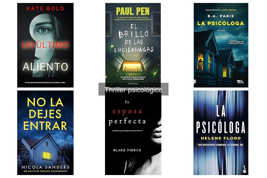 ¿Qué es un thriller psicológico? Características y recomendaciones