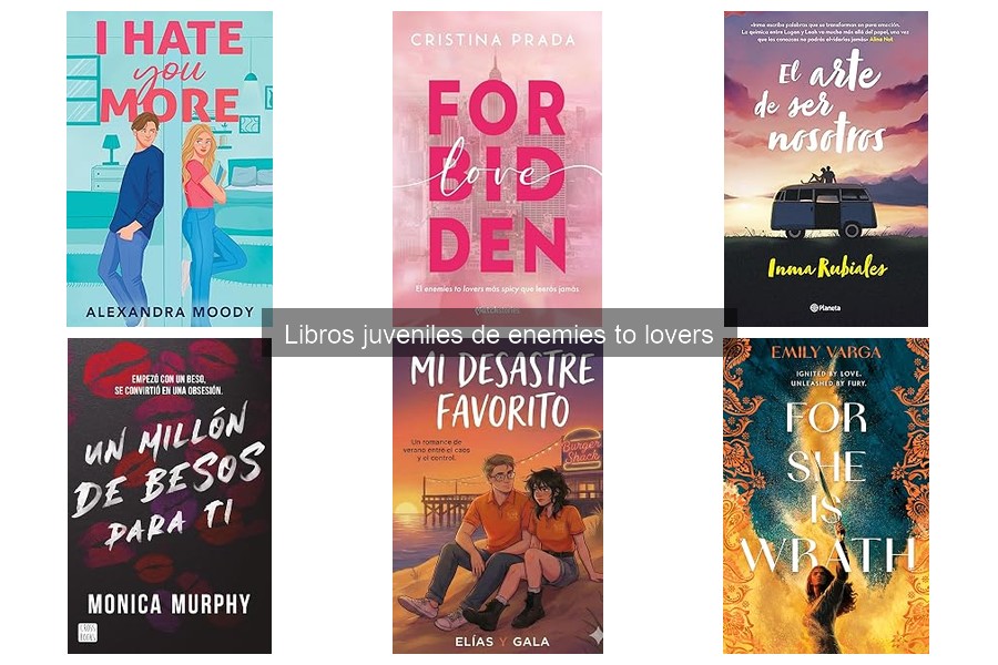 ¿Qué son los libros juveniles de enemies to lovers?