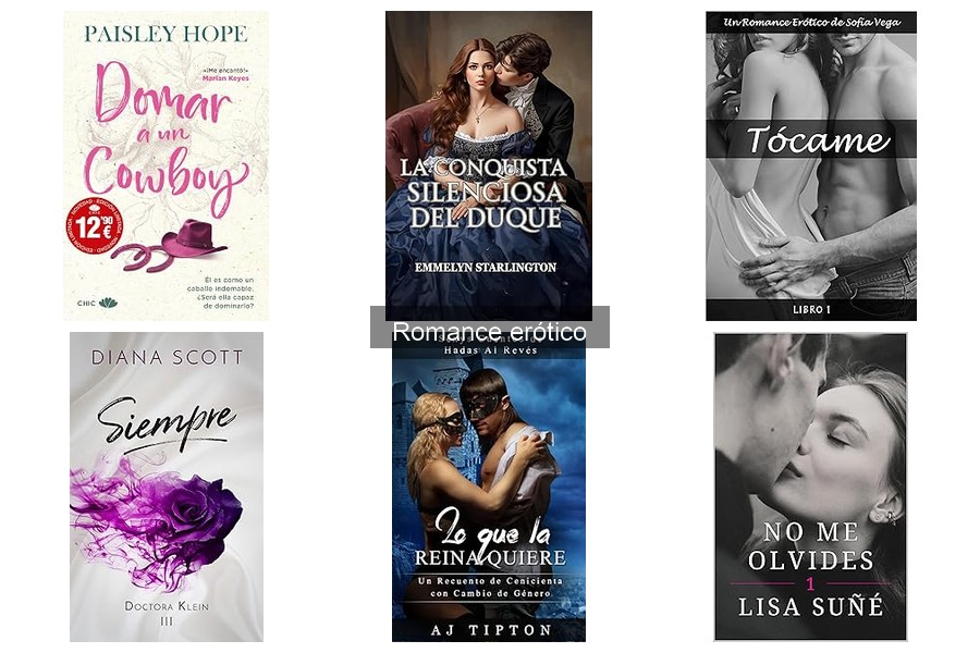 Reseñas de los libros de romance erótico más populares