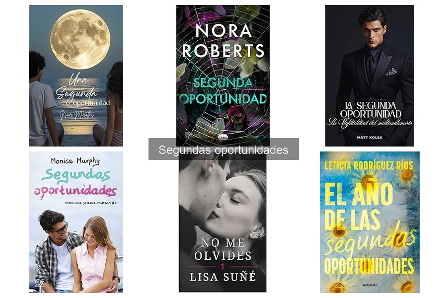 Ventajas y desventajas de los libros de segundas oportunidades